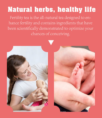 Private Label 100% natürliche Fruchtbarkeit Tee für die Gesundheit der Gebärmutter Naturkräuter und Zutaten